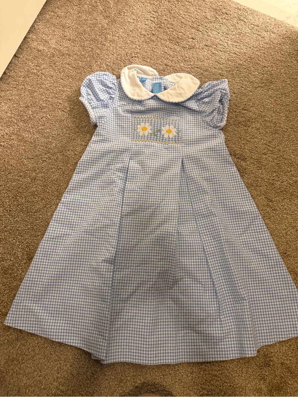 Blue Gingham Daisy Dress